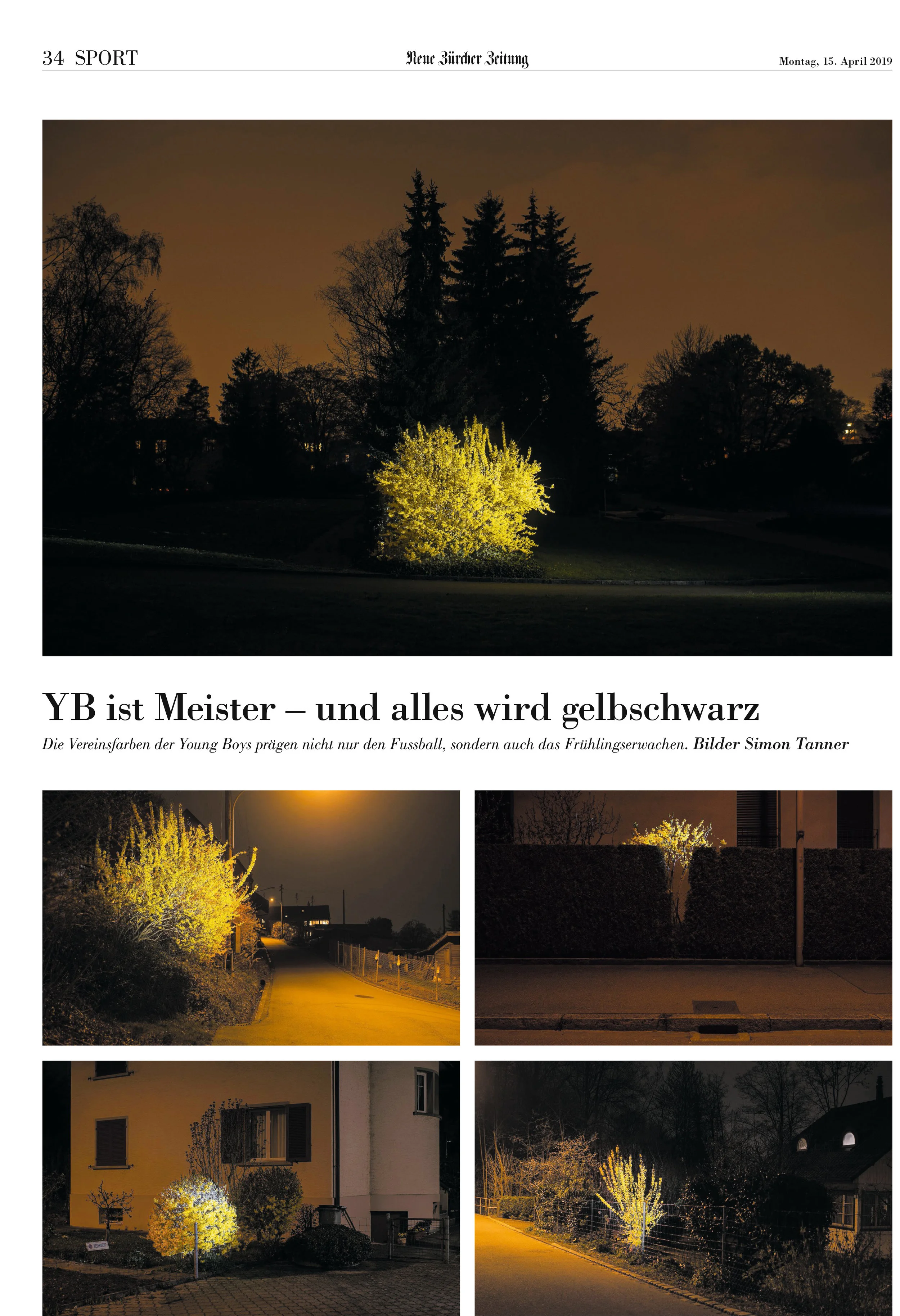 Bildseite_YB_NZZ_2019.jpg