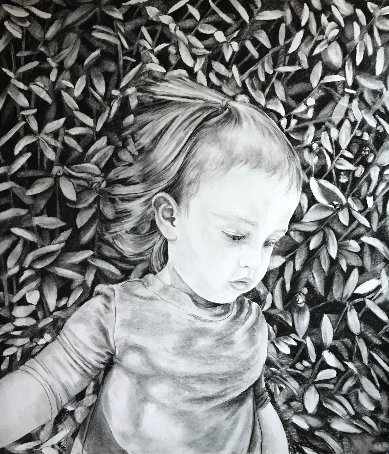   Aurilla , charcoal on paper, 36.5” x 42”, 2016. 