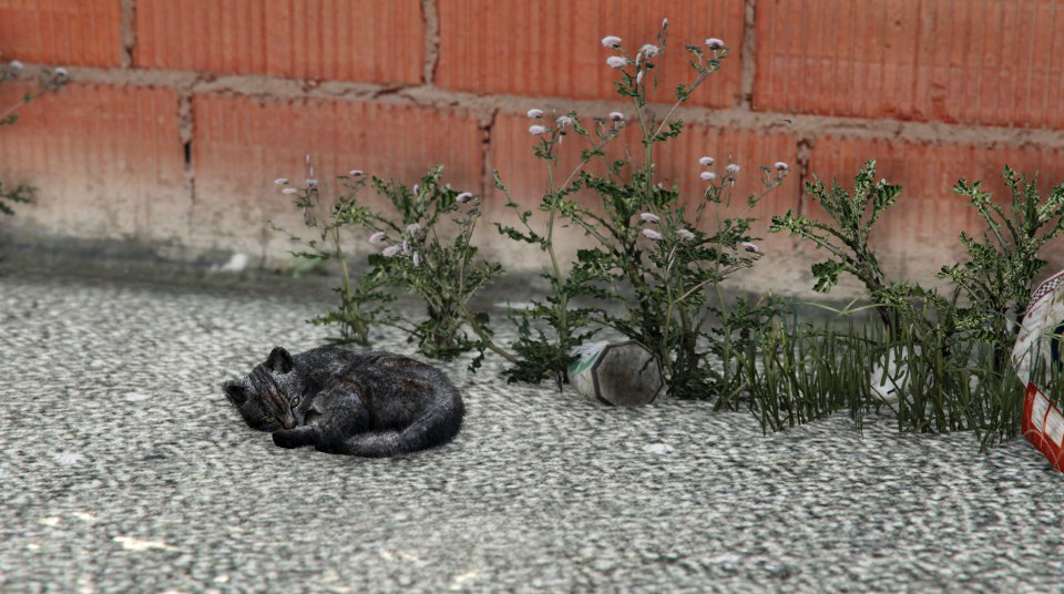 150312_gta5_007.jpg