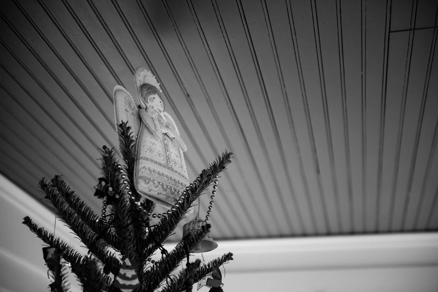 The Angel! 