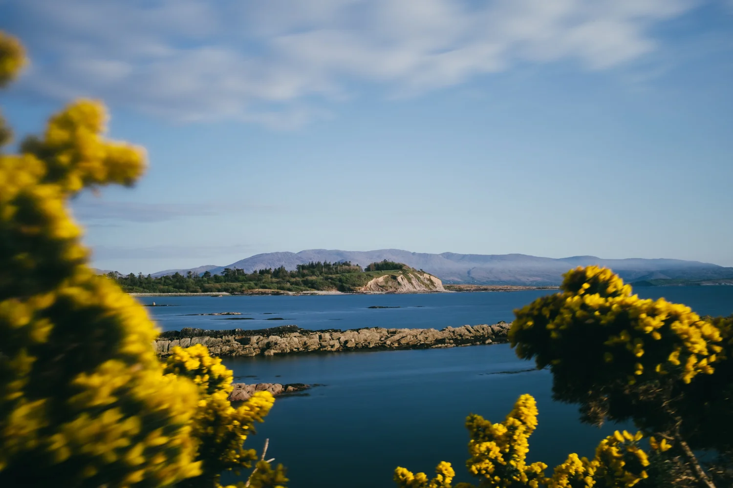 The coastline at Parknasilla Resort, Ring of Kerry