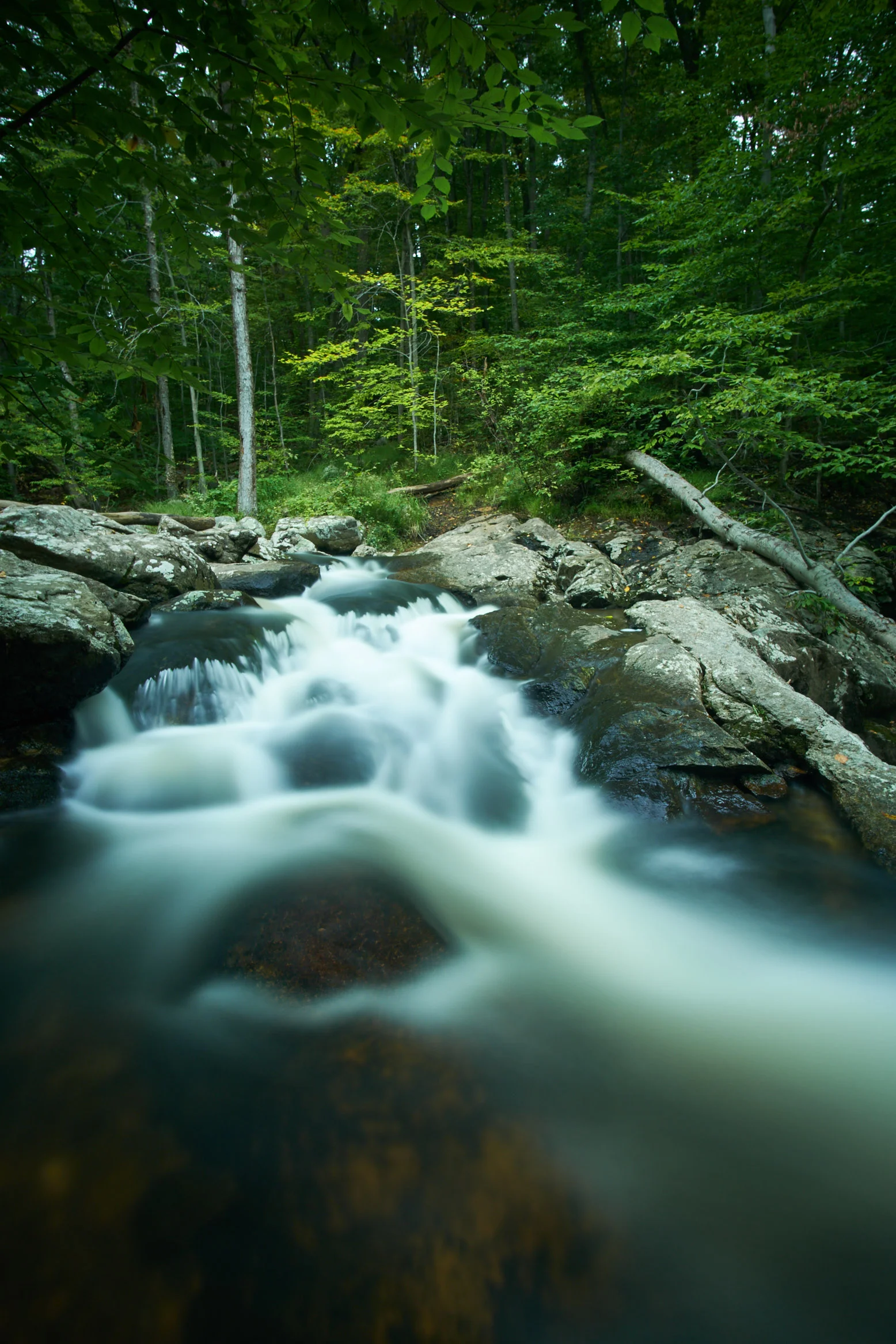 Buttermilk Falls - Chester, NJ