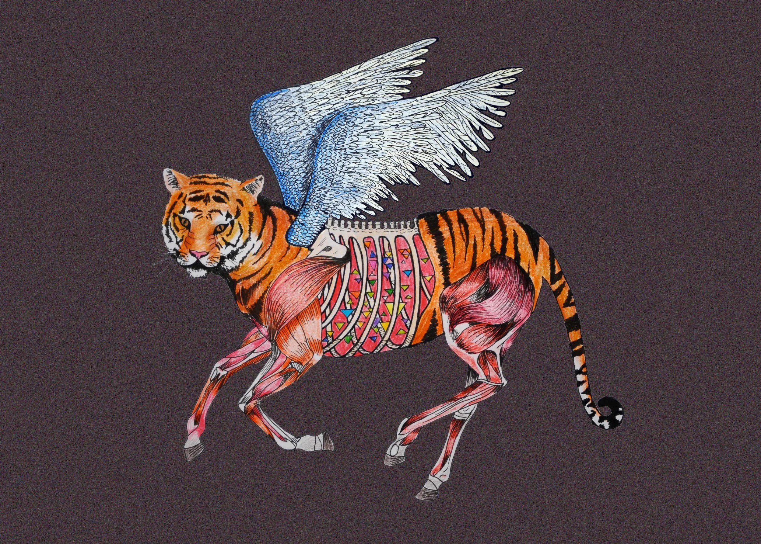 The BELLY of the Beast, Wild Card, BELLYFLOP, Sadler's Wells