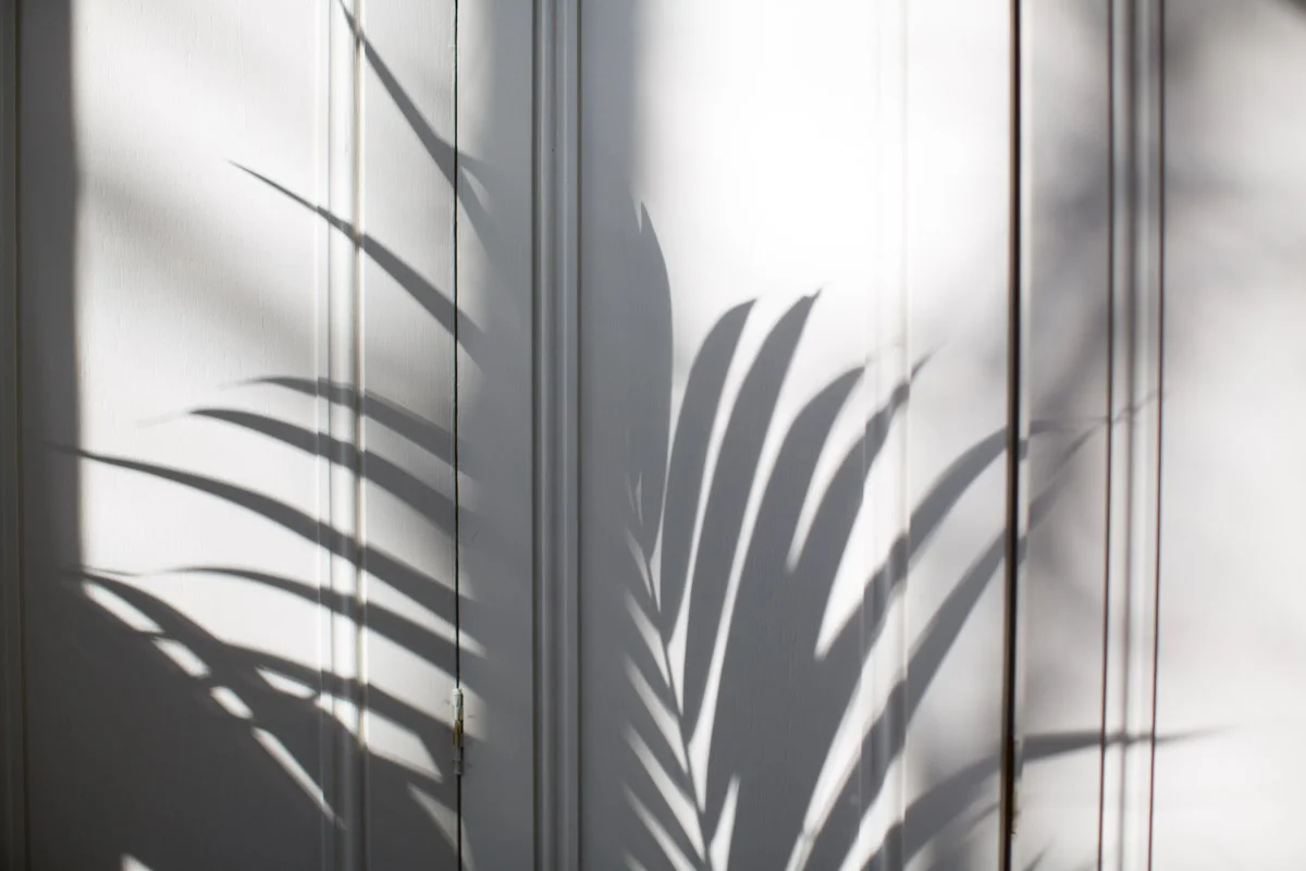 Details-8248.jpg