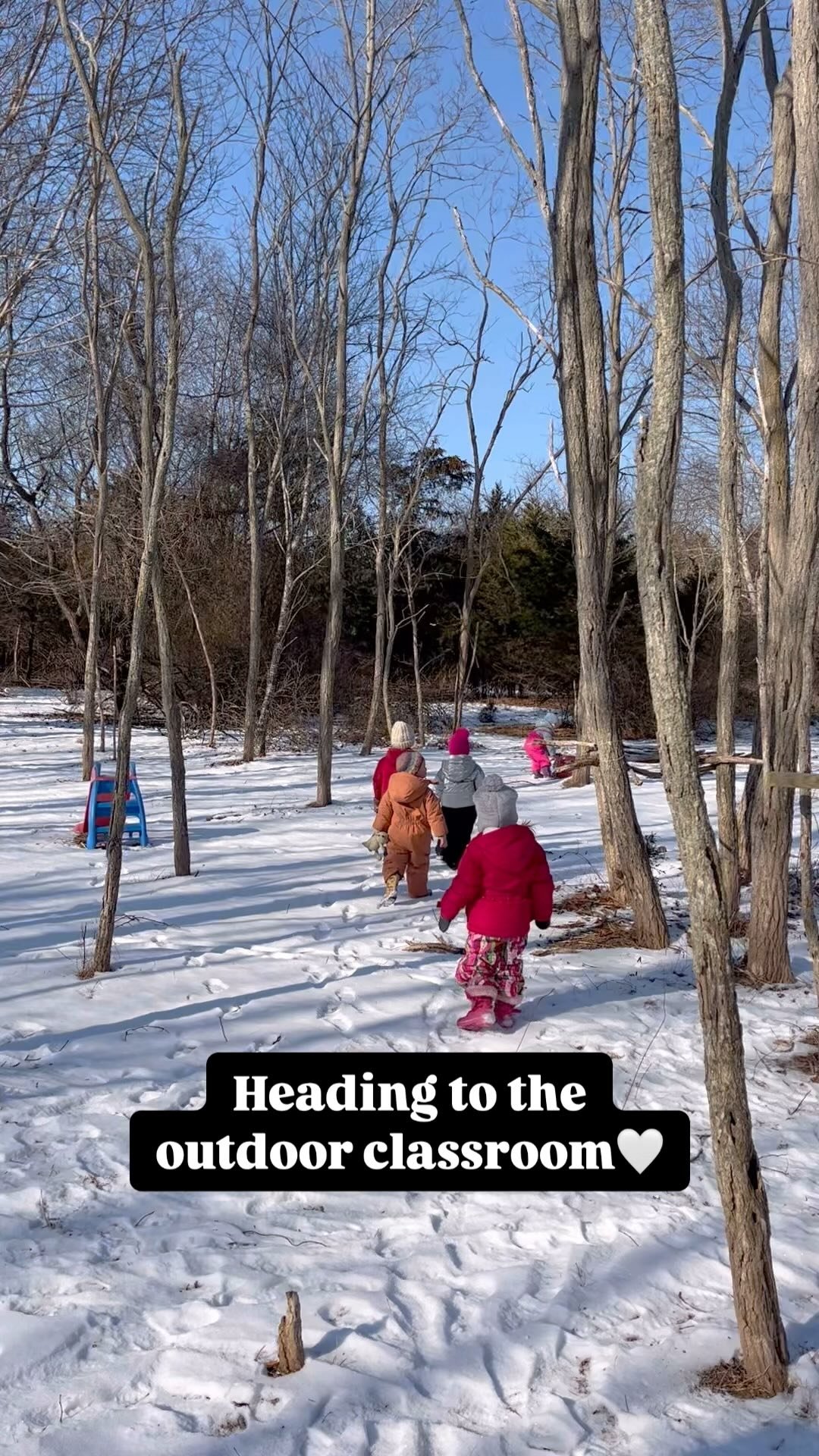 Slide 7