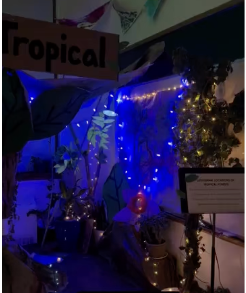 A Celebration of Learning: Our Forest Unit, Fall 2025