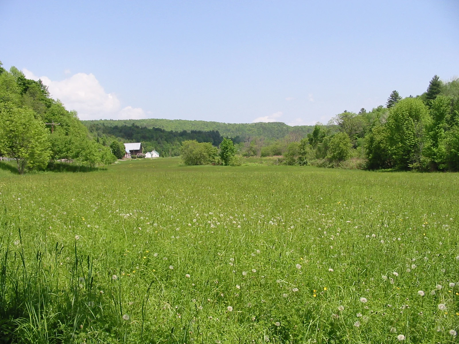 rogers farmstead sits on 133 acres in berlin, vt. the vermont land trust conserved the land in 2002. Image courtesy of the vermont land trust. 