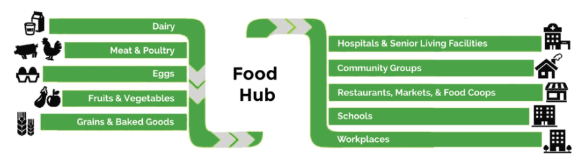 Food hubs connect farmers, food processors, distributors, and markets. Graphic by Sustainable Table .