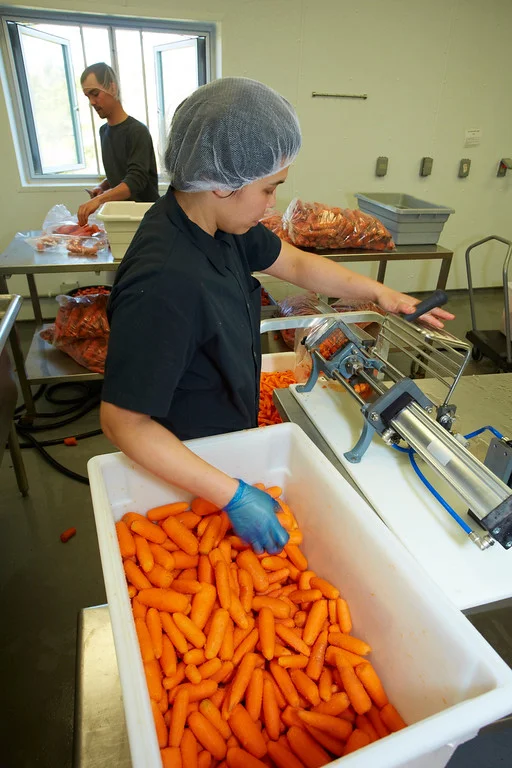 The Farm to Institution program of the Center for an Agricultural Economy’s Food Venture Center provides lightly processed farm products in appropriate portions to make food services and cafeteria serving more efficient. Photo by Todd Balfour.