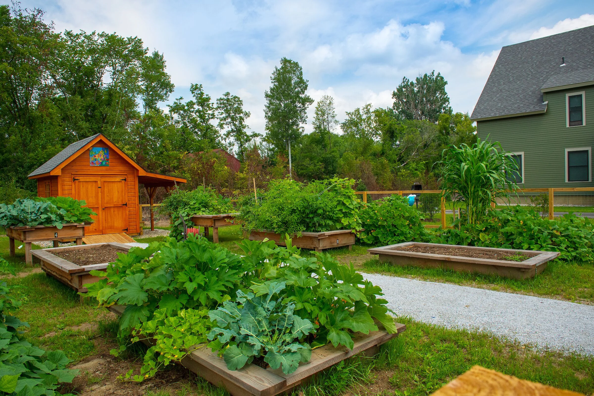A community garden in rutland’s hickory street neighborhood. Thanks to the parsons platform’s data monitoring, housing vermont is able to redirect savings from equipment and fuel costs to resources, like this garden, that improve the lives of residents. photo courtesy of sally mccay.