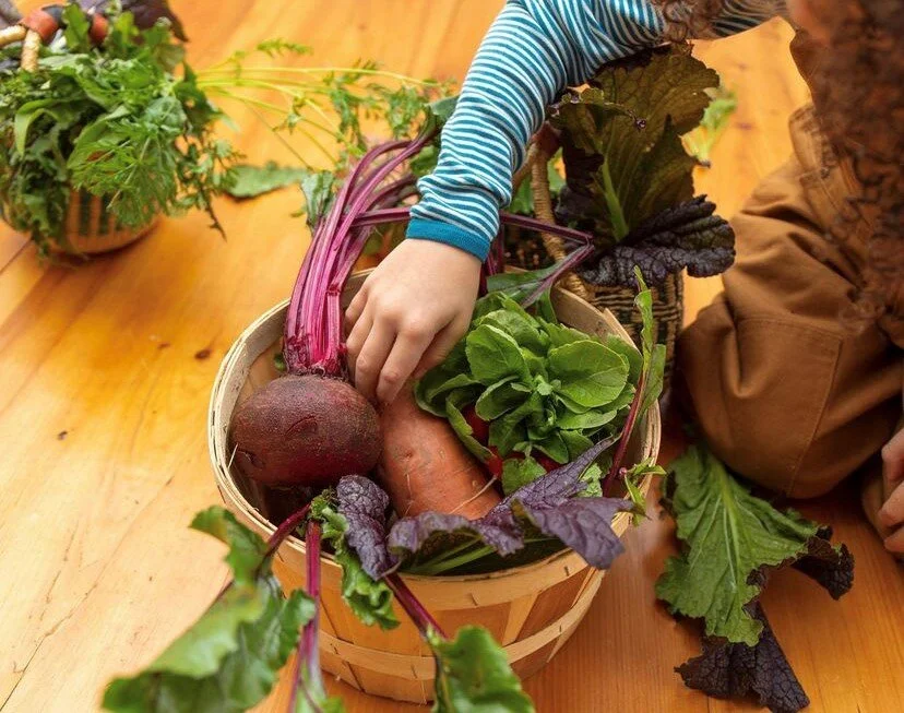 A Box of Resilience from the CSA program at SUSU commUNITY Farm. Image courtesy of Henry Amistadi Photography.
