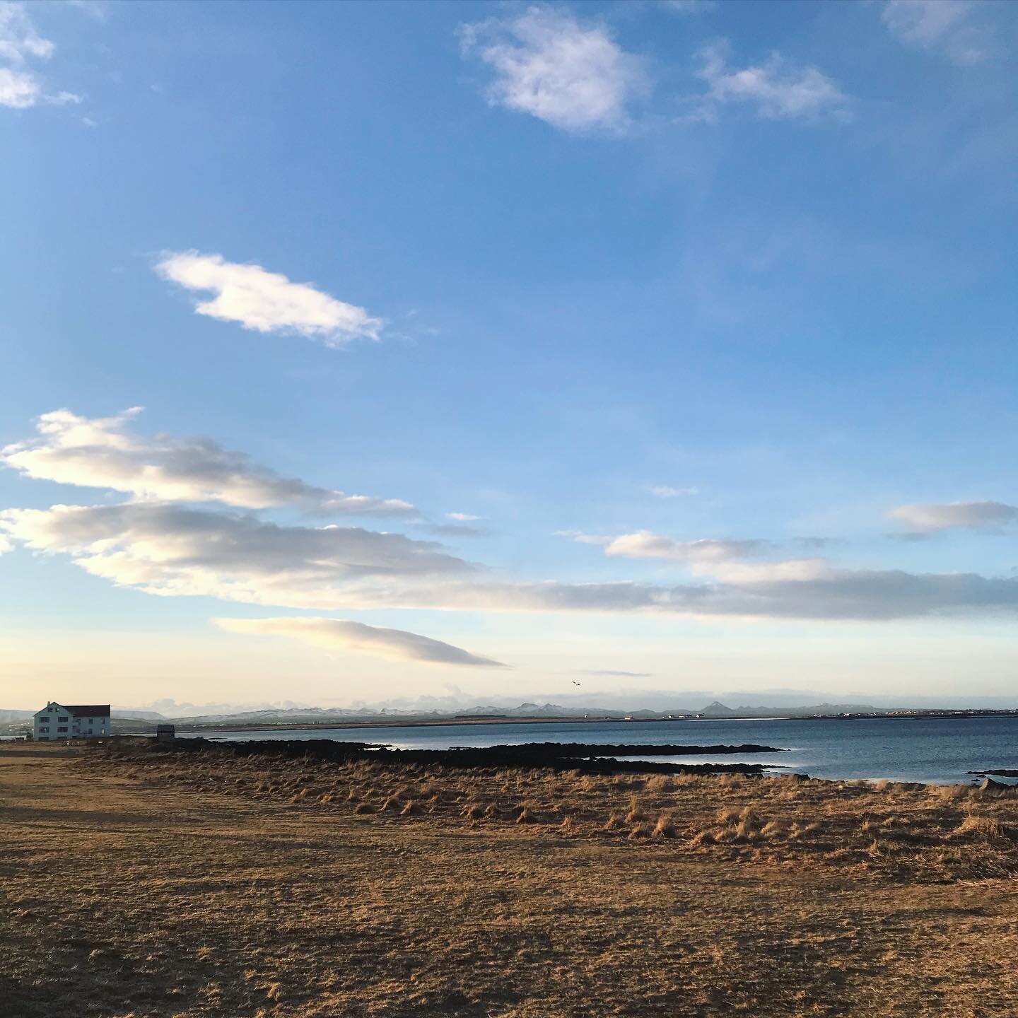 Big blue sky on this morning&rsquo;s walk