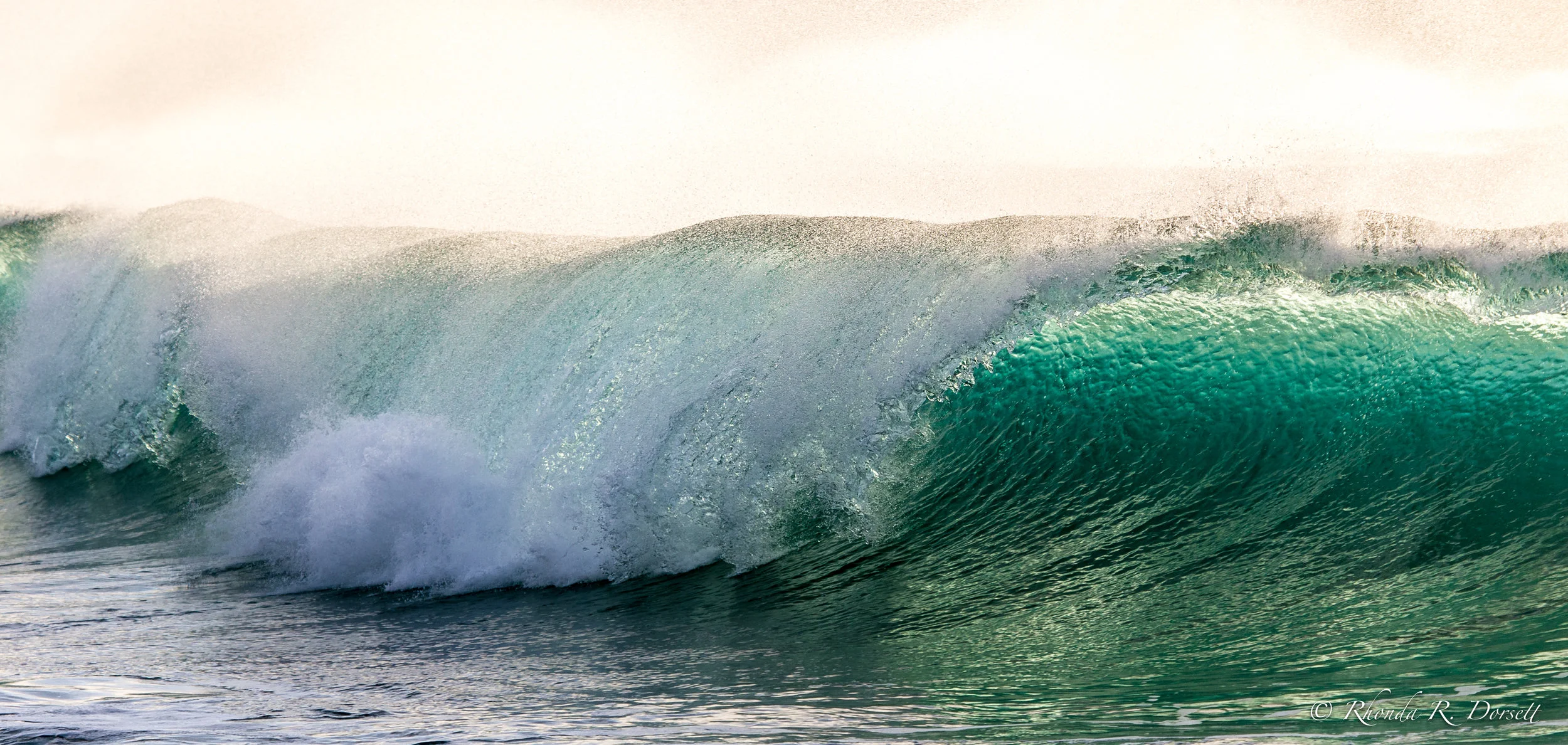 Molokai-1342-2.jpg