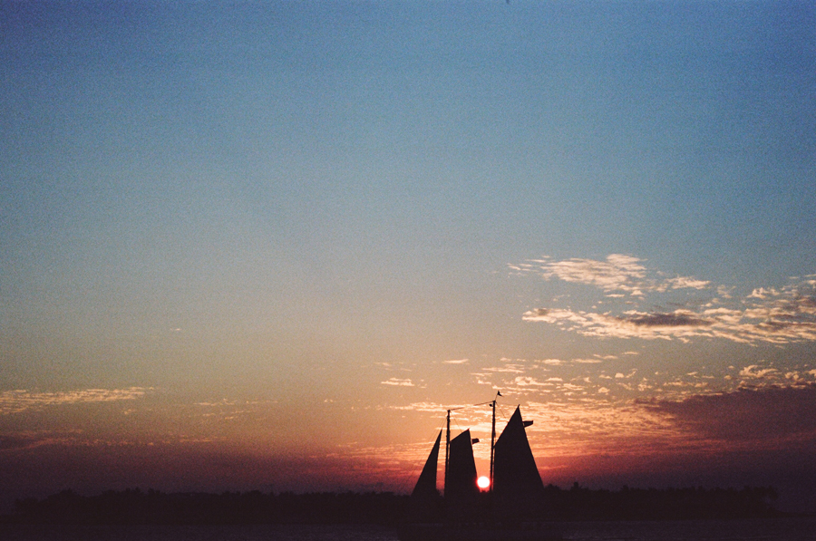 85490014s.jpg