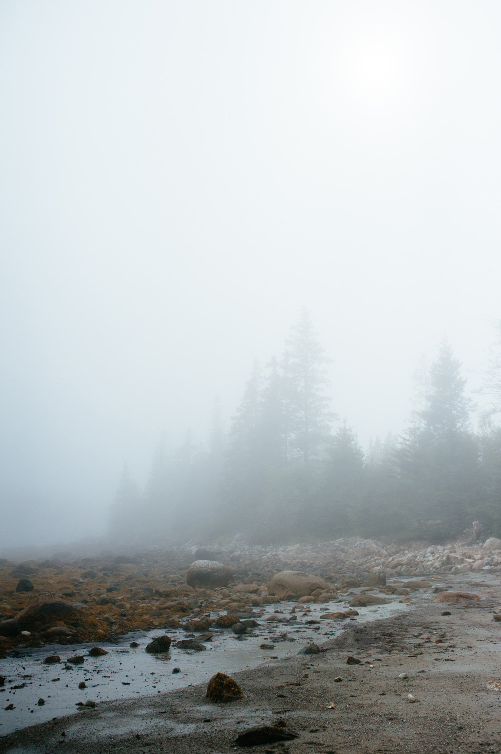 maine_blog24.jpg