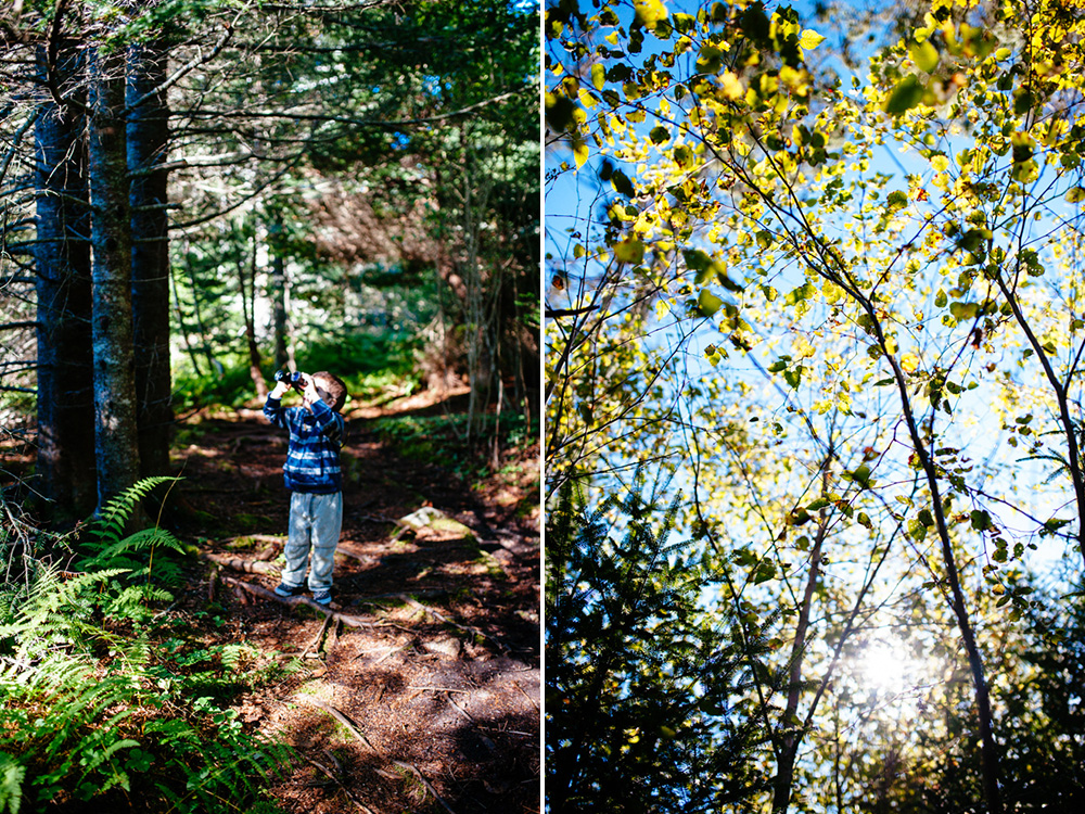 maine_blog42.jpg