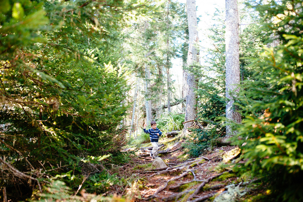 maine_blog46.jpg