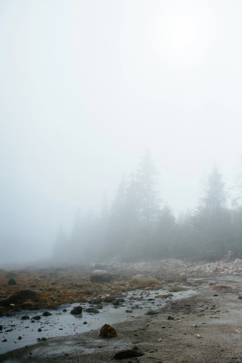 maine_blog24.jpg