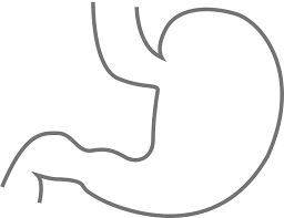 tummy.png