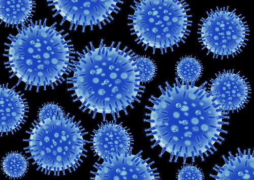 Flu Season.jpg