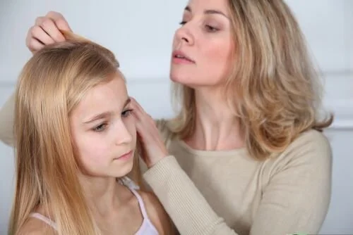Head Lice.jpg