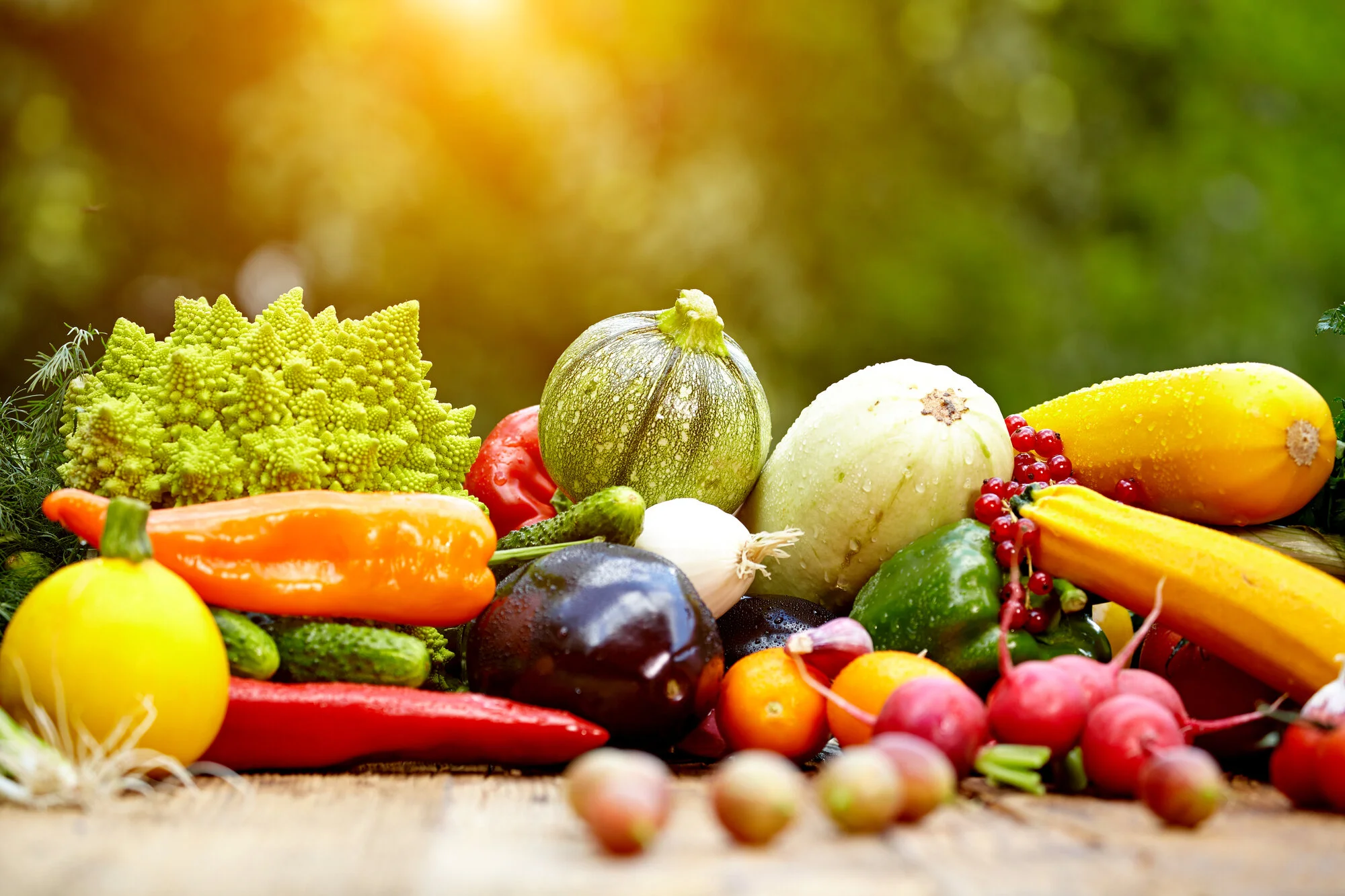 Increasing Fruits and Vegetables into Your Child's Diet