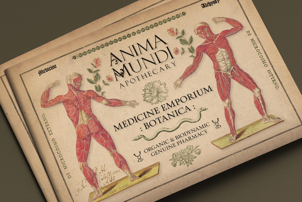 catalogo Anima Mundi 2003 by Anima Mundi - Issuu