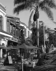Neighborhood.jpg
