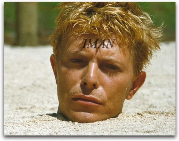 Merry_Christmas_Mr_Lawrence_38084_Medium.jpg