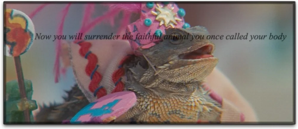 the-holy-mountain-lizard.jpg
