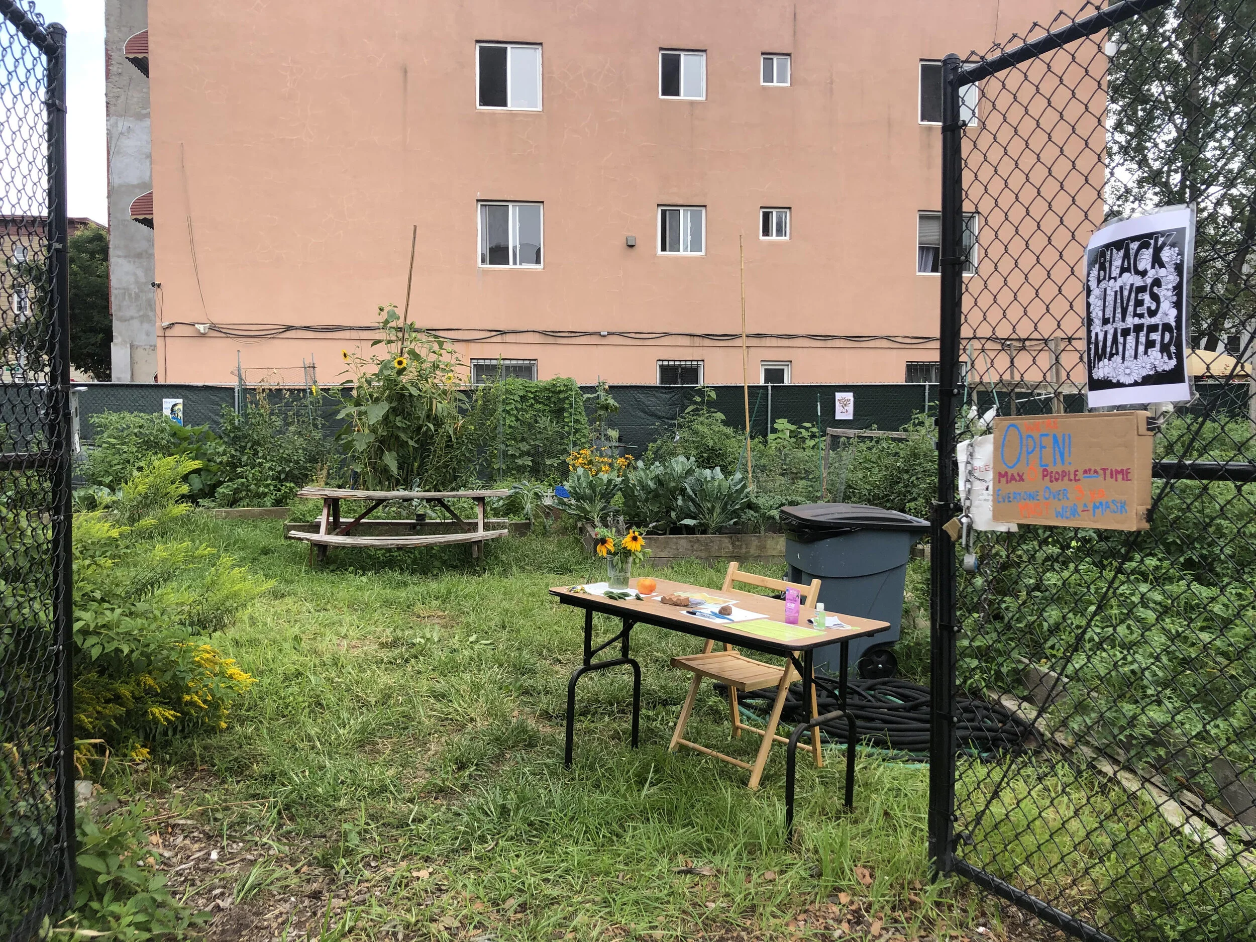 Open Hours at the Garden returns for fall!