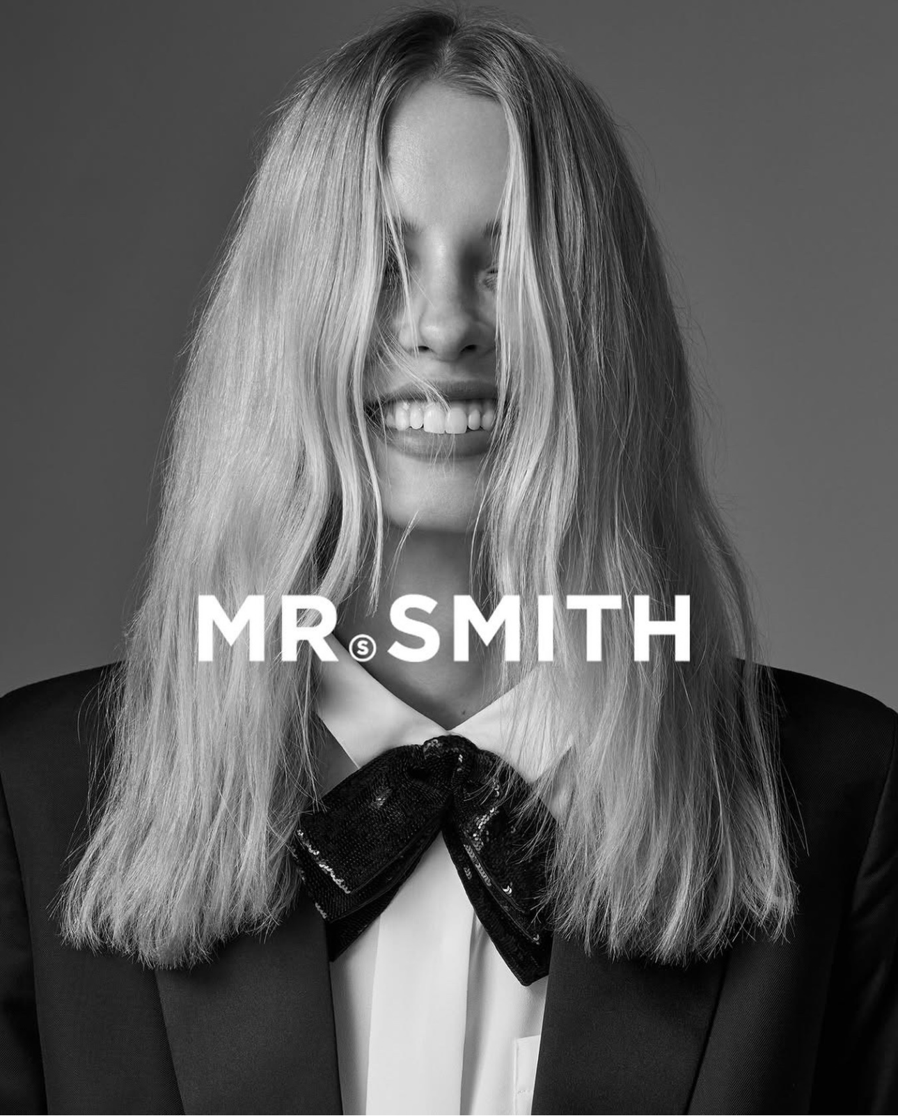 Mr Smith By Steven Chee