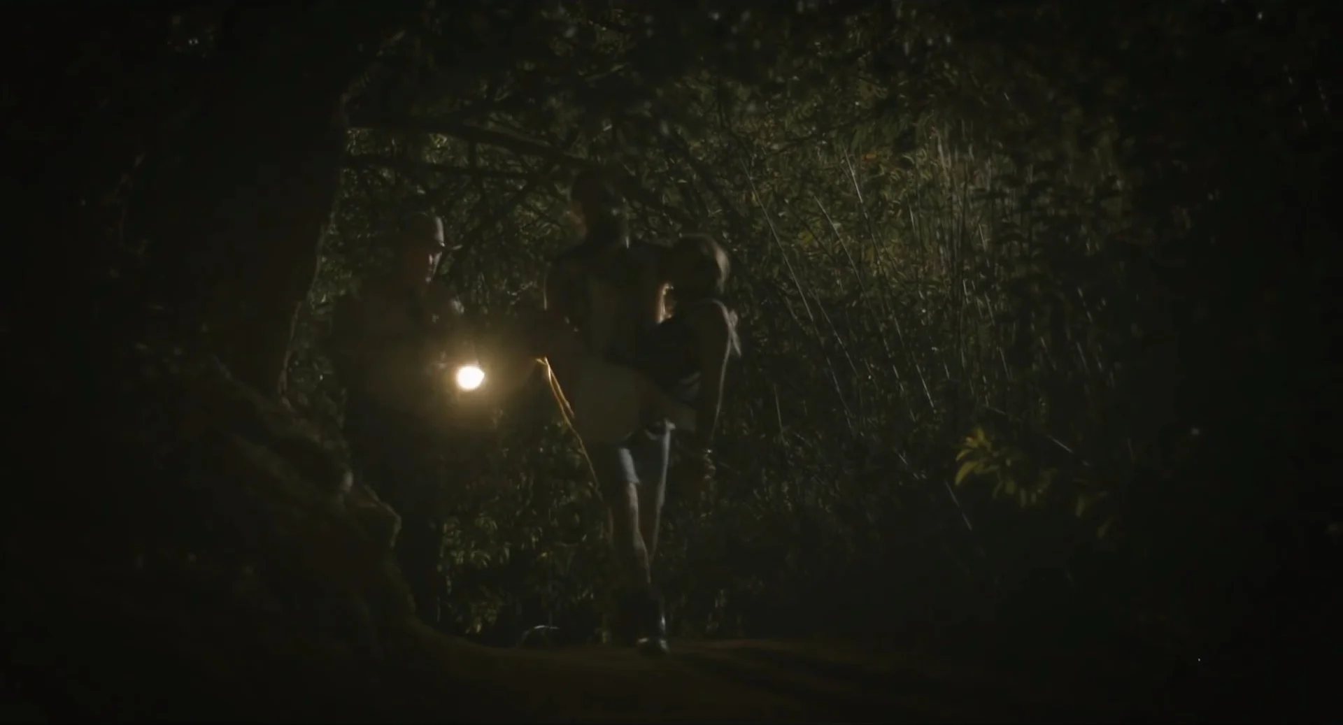 Flash light walk.jpeg