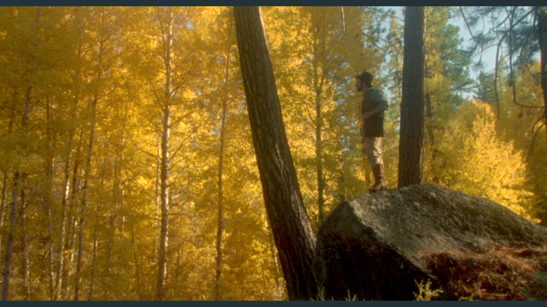 trees_blue.png