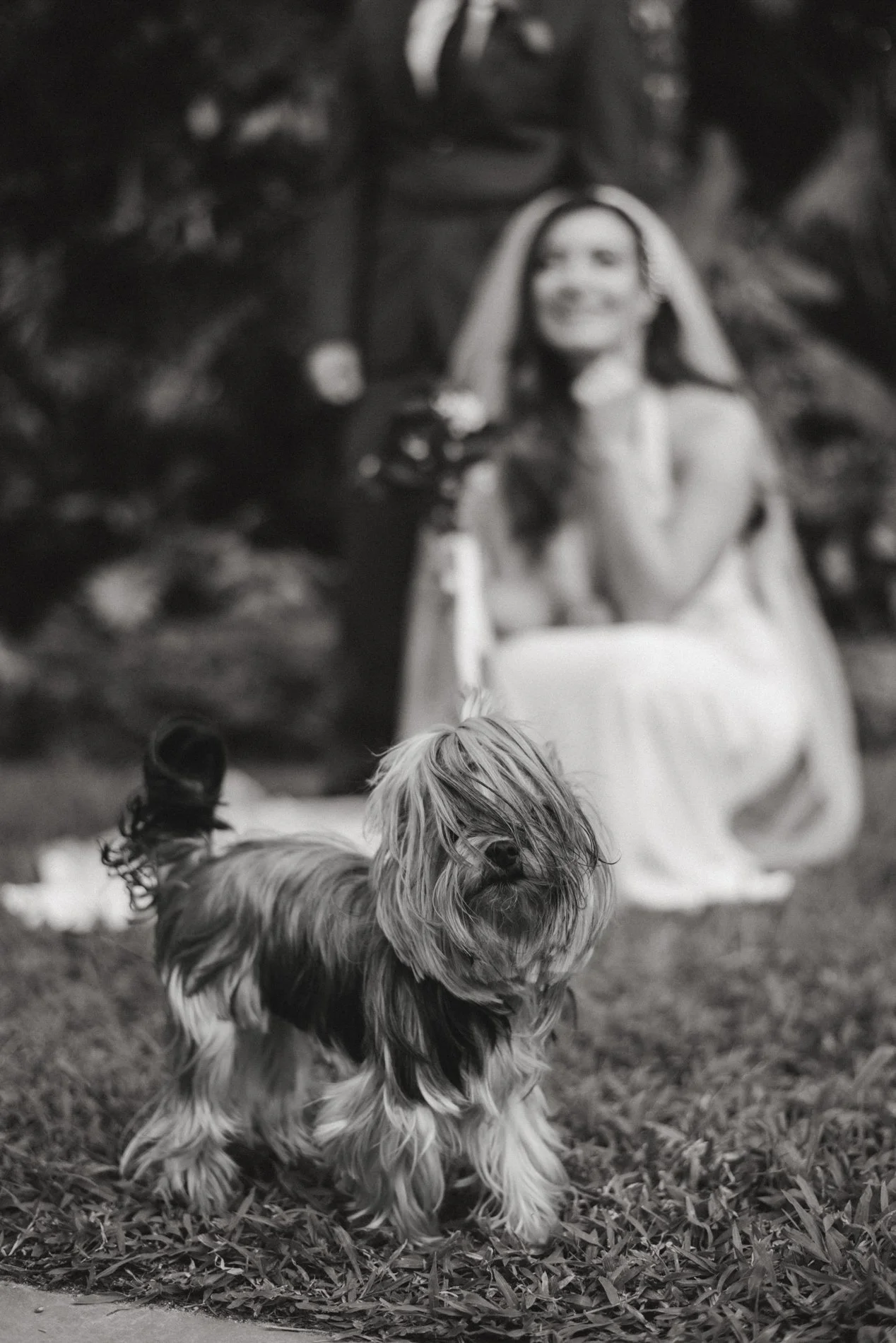 wedding-109-2.jpg