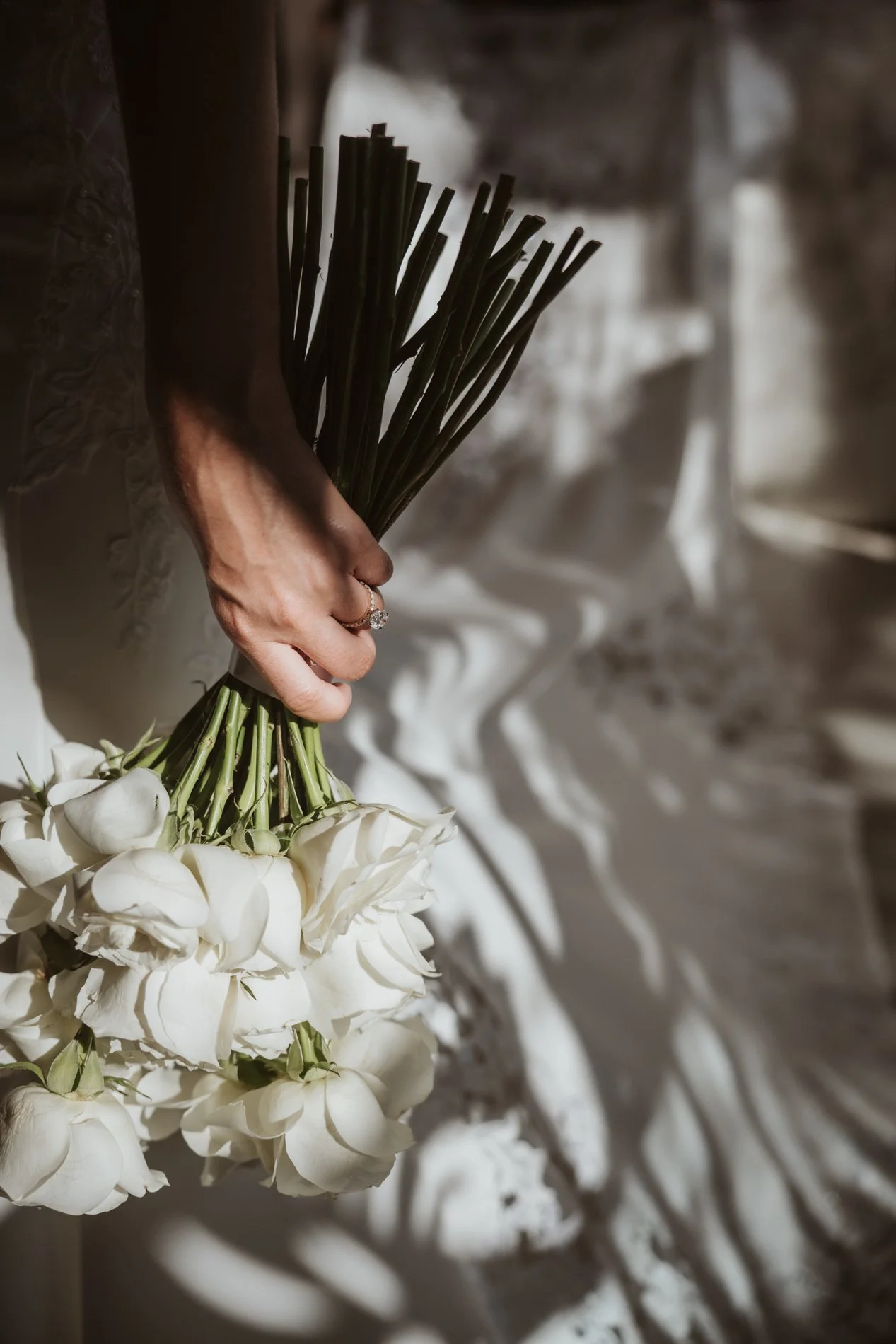 Kaitlyn+David_pt2_0750_NIKONZ8-2.jpg