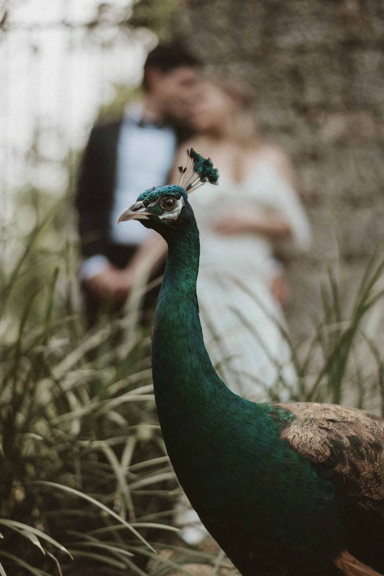 je_wedding_coconut_grove_plymouth_congregational_church-5-2.jpg