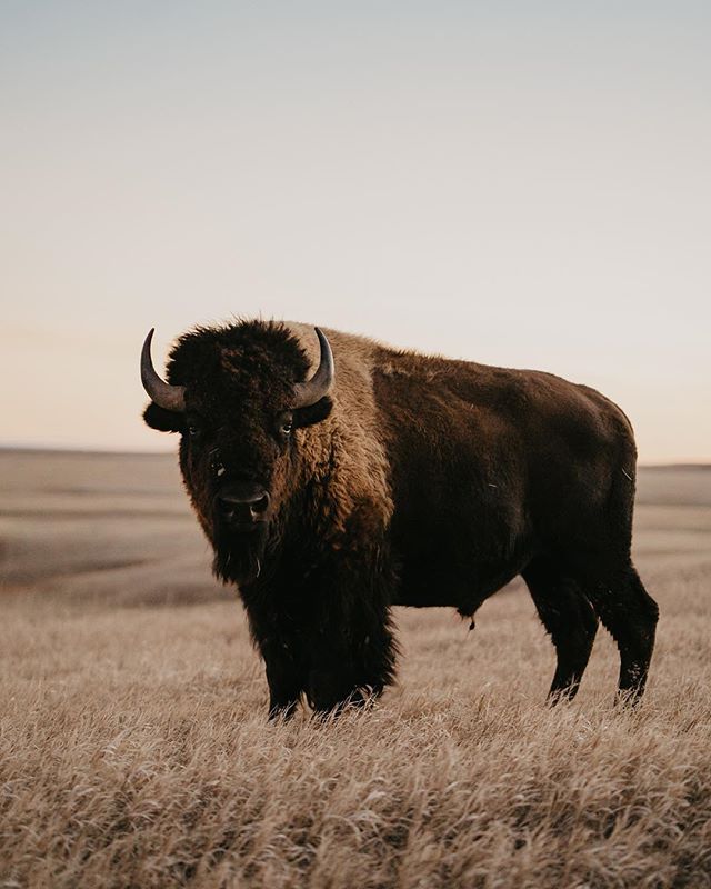 Hey! I&rsquo;m very excited to be teaming up with Hurley &amp; Pendleton to unveil their brand new release of Badlands National Park inspired clothing. Follow @southdakota, leave a me comment, &amp; like this post to enter to win this rad limited edi