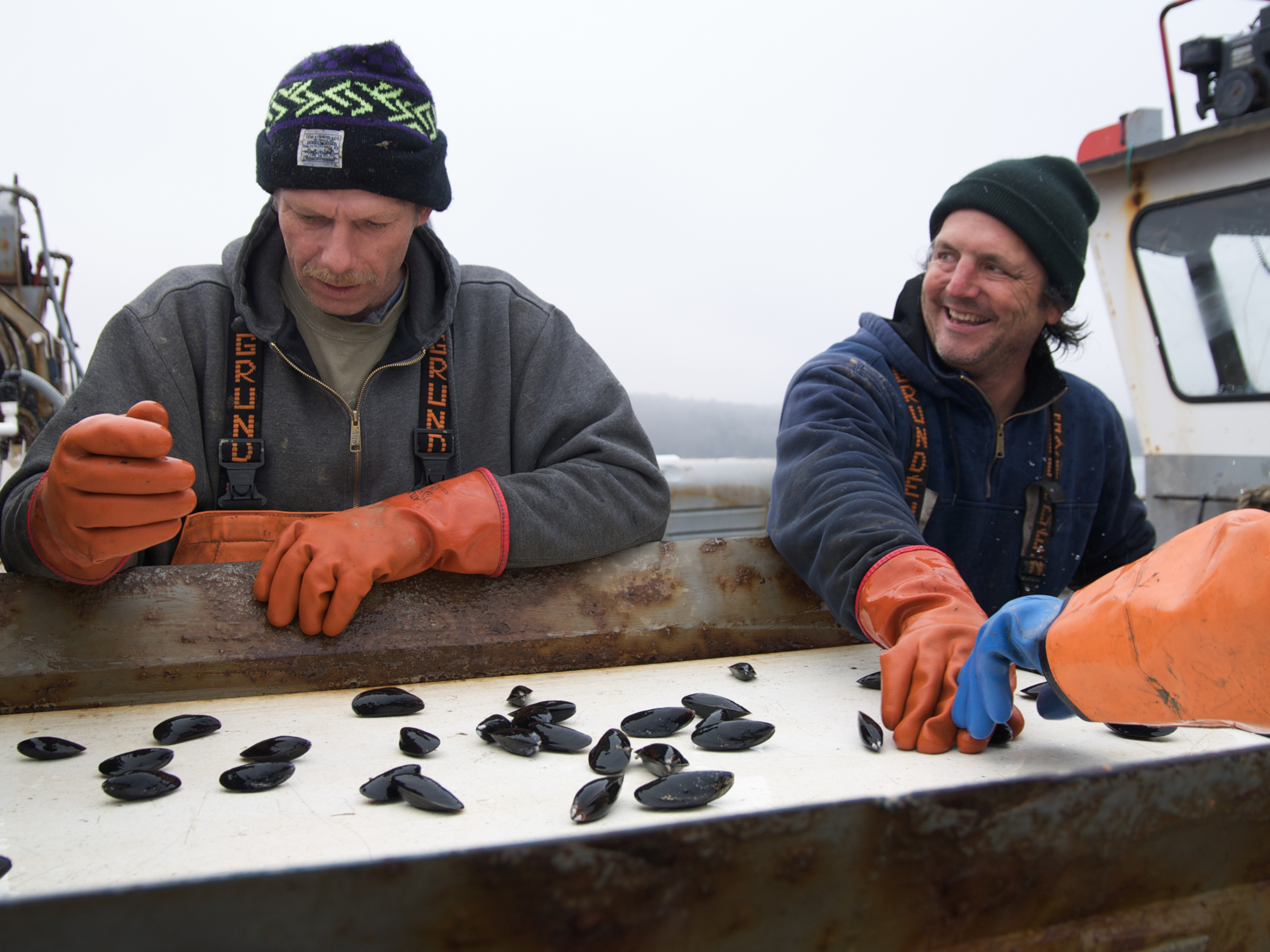  (04/04/09)&nbsp;Greg Thompson (left) and Carter Newell (right) watch the conveyer belt carefully in order to remove any mussels with broken shells. Although some jobs can be somewhat te- dious, each task never lasts for too long and by the time one 