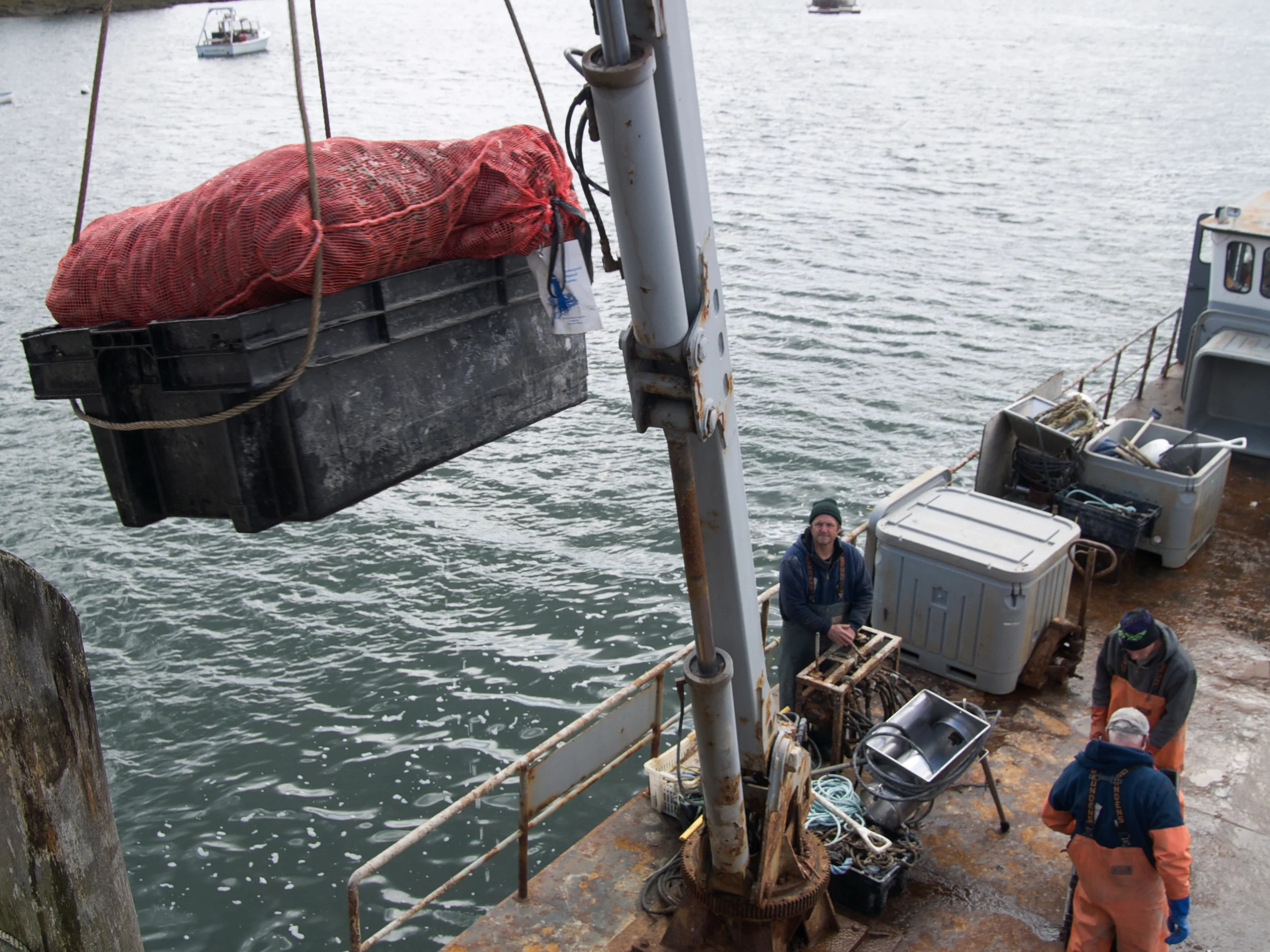 (04/04/09) At low tide, Carter Newell uses the crane to lift bins of bagged mussels up onto the dock. The crane was designed to lift a surprising amount of weight and was once even used to lift up the entire barge by pushing off the bottom when it became grounded in shallow water.