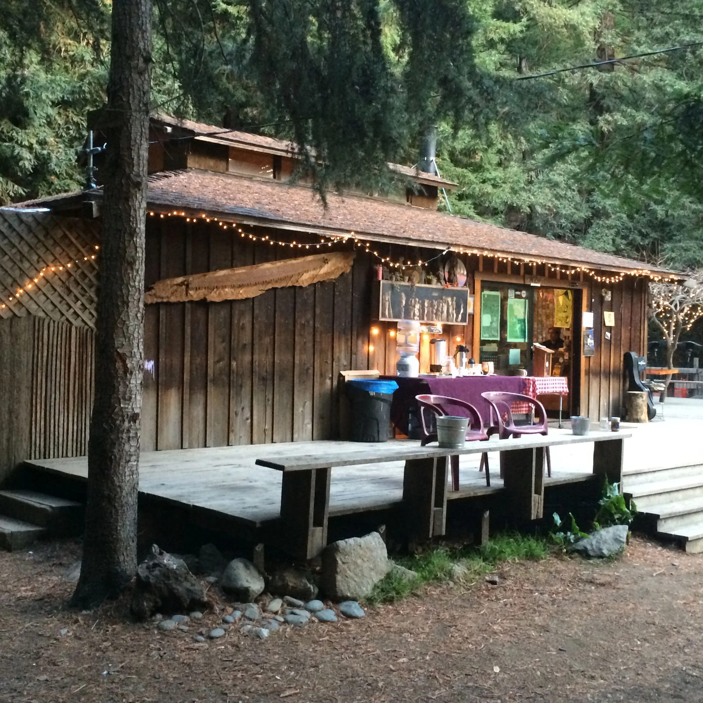 cabin.jpg