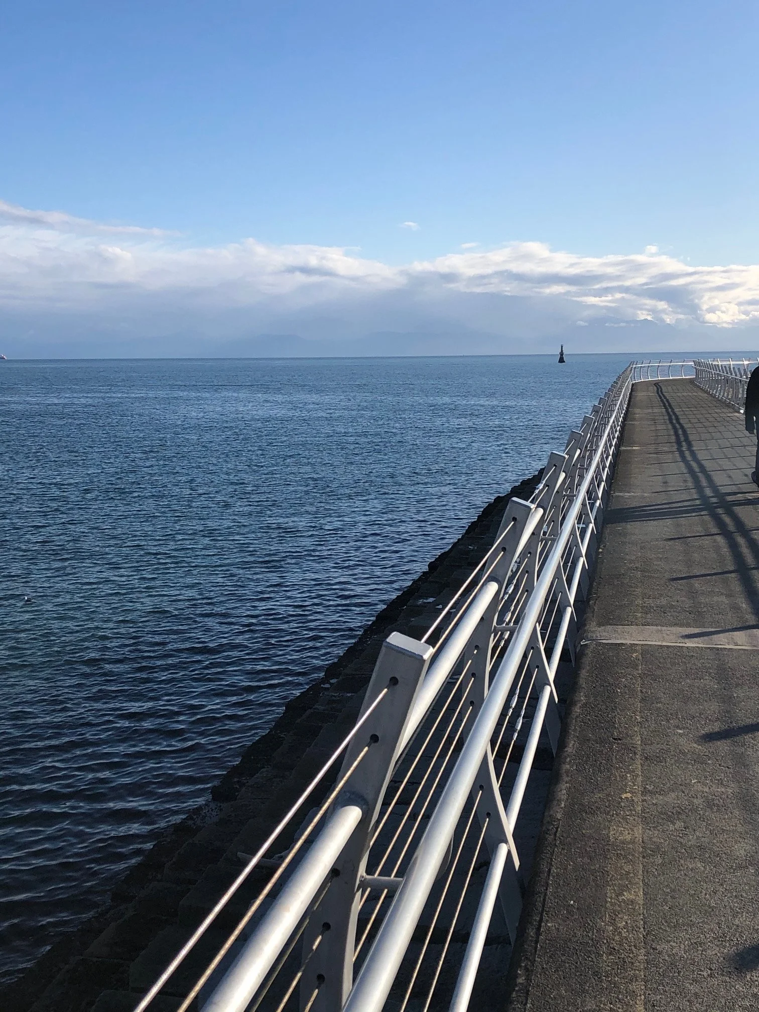 Breakwater Aluminum Railing Best 2.jpg