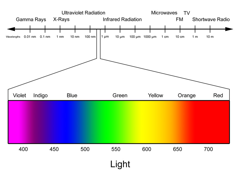 Fig02-01-REVISED.jpg