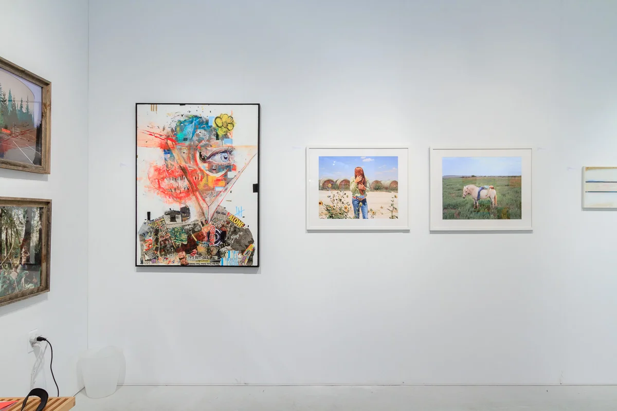 Left to right, works from Anna Beeke , Wyatt Mills , Ilona Szwarc and Mark De Wilde