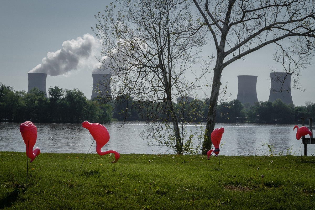 Plastic Flamingos, Three Mile Island, Pennsylvania