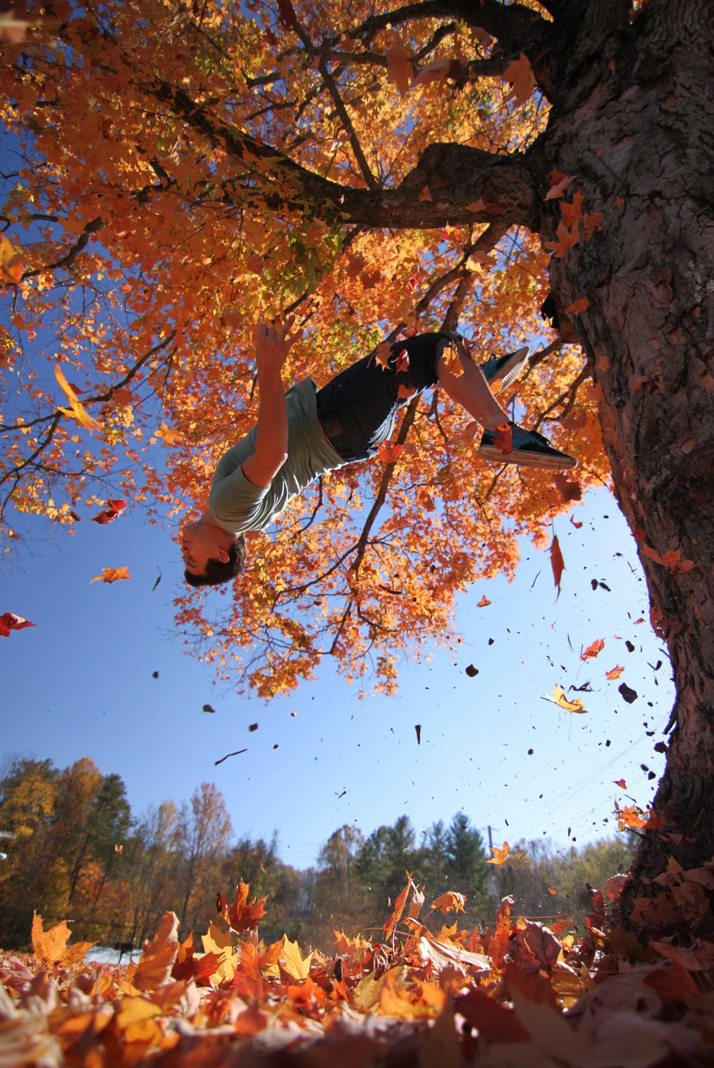 IMG_8747-Edit.jpg
