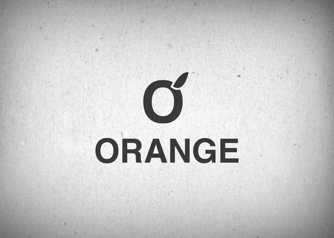 Orange Presentation.jpg