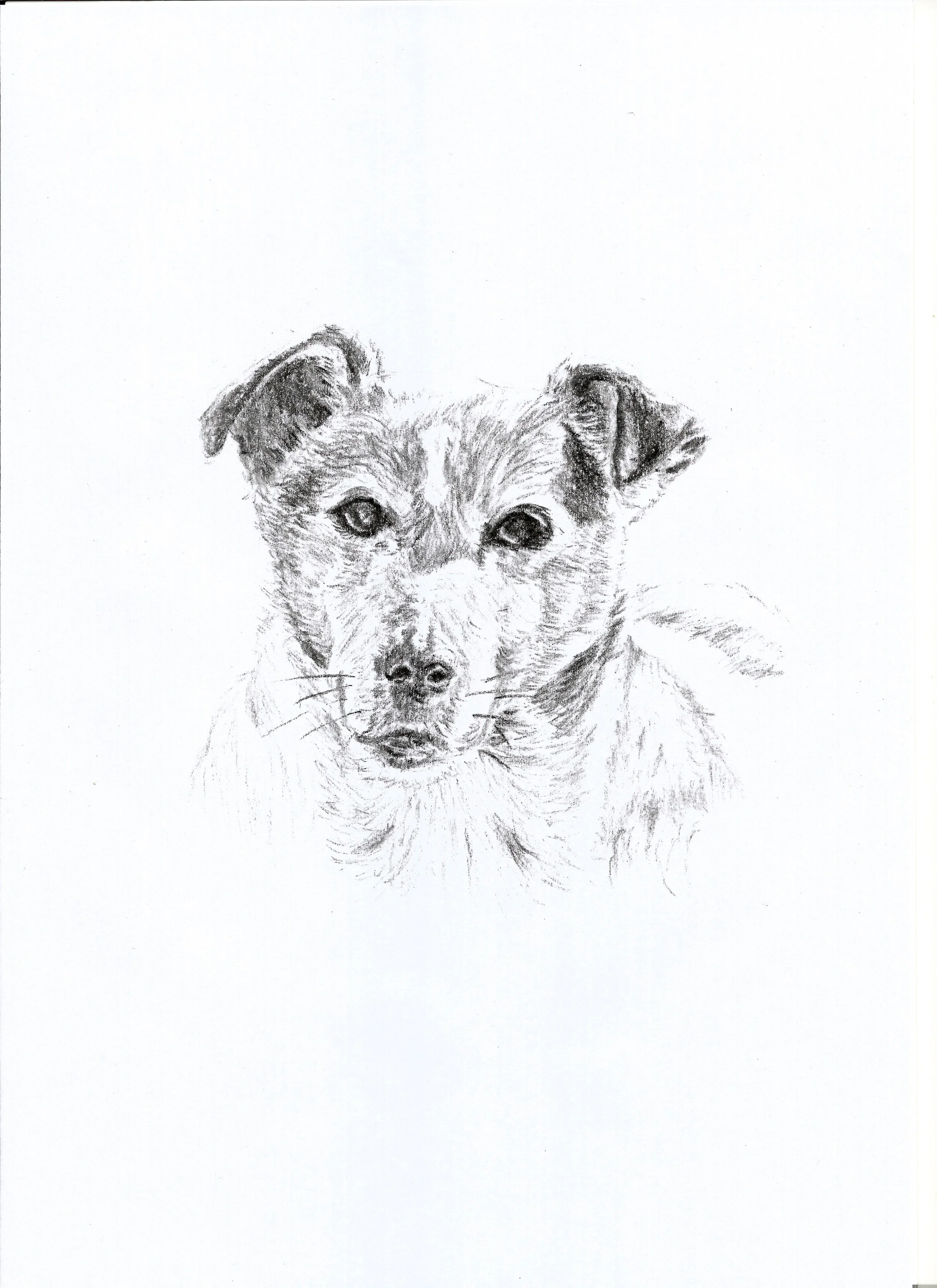 Midge
