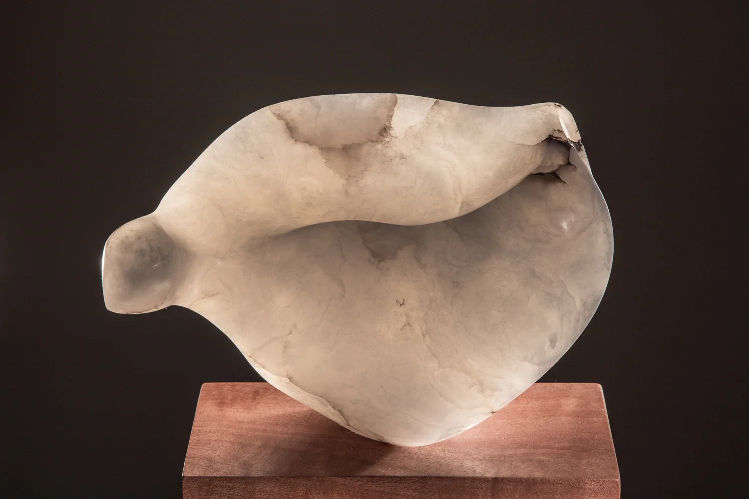White Dove