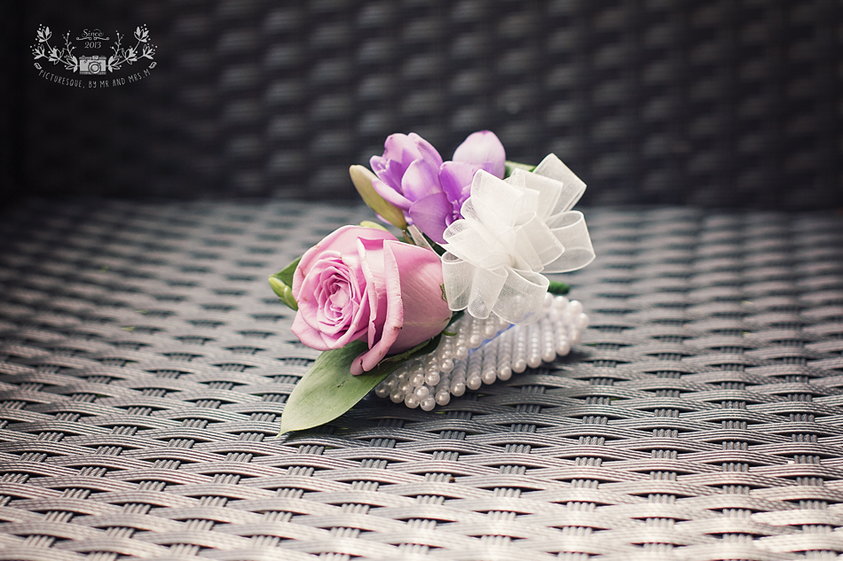 Lodge on Loch Lomond wedding
